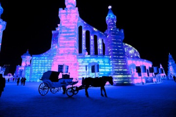 20120114-IMG_1228.jpg