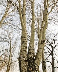 235630519-IMG_1919.jpg