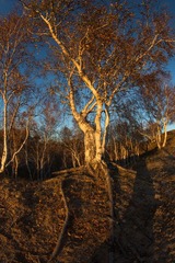 4H0A1515.jpg