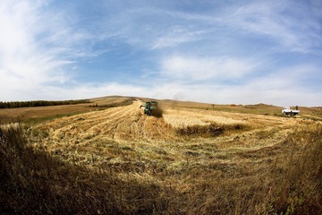 4H0A8242.jpg
