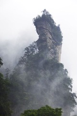 腾龙