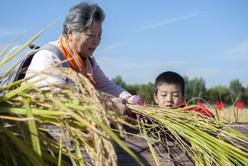 水恋