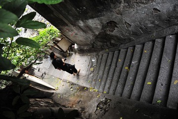 XY0_5850.JPG