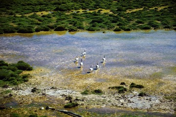DSC_3838.jpg