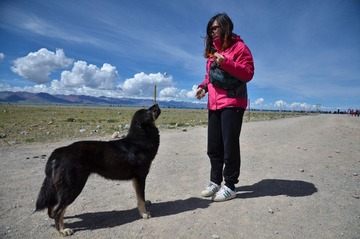 DSC_4223.jpg