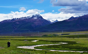 DSC_4493.jpg