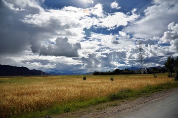 DSC_4984.jpg