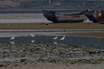 DSC_8480.jpg
