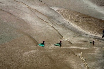 DSC_8704-1.jpg