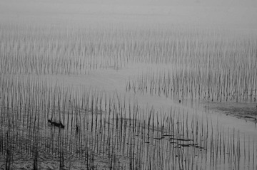 DSC_8776.jpg