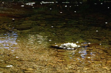 DSC_8979.jpg