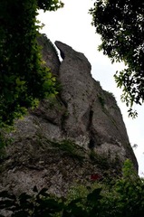 DSC_8990.jpg