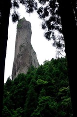 DSC_9015.jpg