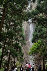DSC_9019.jpg