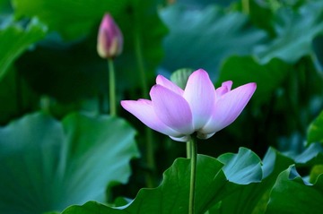 DSC_9470_调整大小.jpg