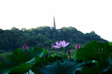 DSC_9471_调整大小.jpg