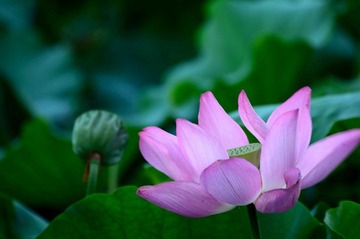 DSC_9488_调整大小.jpg
