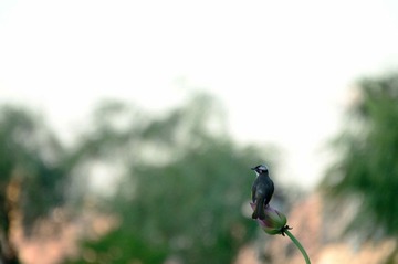 DSC_9503_调整大小.jpg