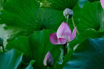 DSC_9593_调整大小.jpg