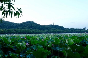 DSC_9598_调整大小.jpg