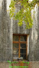 DSC_8977-1_调整大小