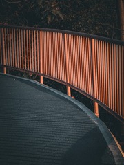 201286