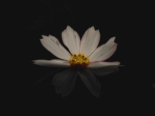 201280