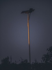 201288