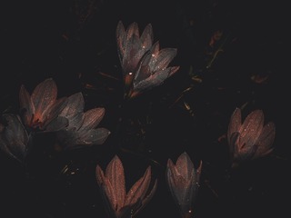 201283