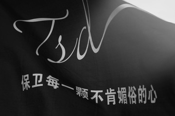 IMGP8981.JPG