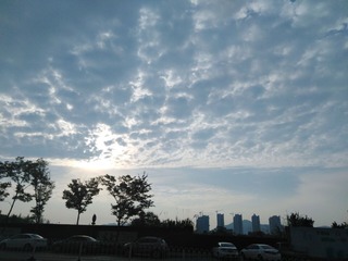 45A63064-7CD0-427E-B960-3A0FD3CAFB50/L0/001