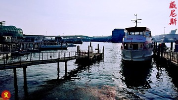 528441