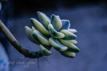 E23078D9-0127-4FDB-9F49-246EB7F24011/L0/001