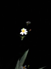 19F14C52-5A43-459C-B0E4-3404976430A3/L0/001
