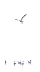 001