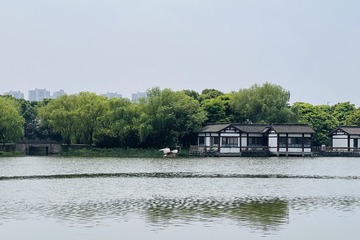 7C862AB1-F7CA-43D3-90F8-E6D122E6D580/L0/001