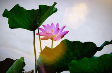 5F160103-8B8E-45CC-A766-B7F17682CB8D/L0/001