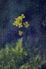 2037A7B6-CF09-4937-83DA-B5D66E816880/L0/001