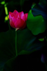 057C8F3F-B5DA-4716-BAD8-E0D67BC9FC50/L0/001