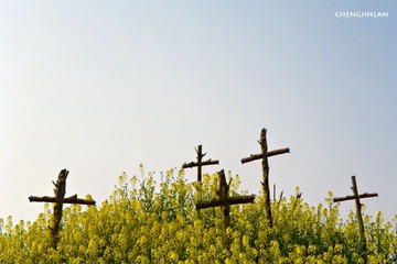 “100_0386”为智能对象-1.jpg