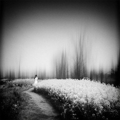 “100_0385”为智能对象-1.jpg