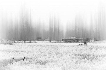 “100_0372”为智能对象-1.jpg