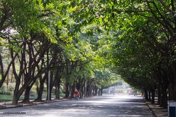 “100_0453”为智能对象-1.jpg