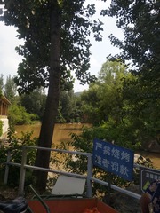 9230222