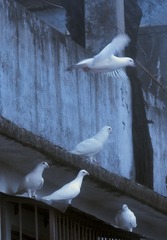 445D0EEA-F0EE-4922-AAAF-E3E06BC07DBE/L0/001
