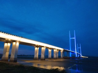 1145941