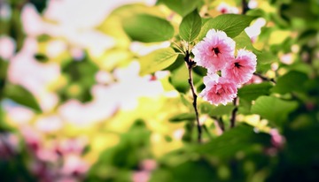 A8755A15-E893-465D-809B-23B91912326D/L0/001