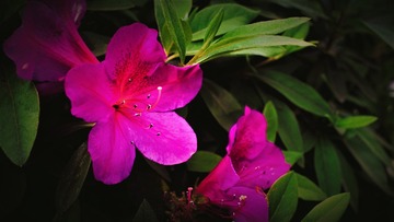 41F494F6-D993-4ABC-BE90-03F957DB6205/L0/001