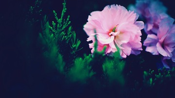 5C5C565A-DF0E-4A32-BF57-A8ED506AE1D6/L0/001