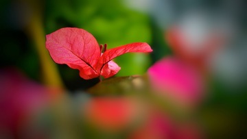F952B70F-7A8A-4DB5-A109-FAFC0975774F/L0/001